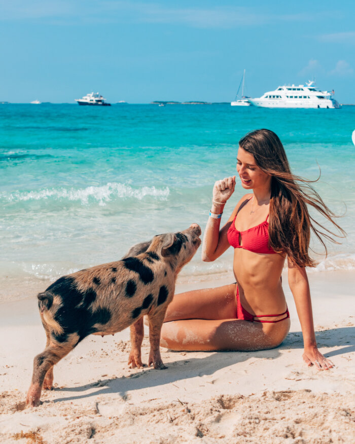 Bahamas pigs beach