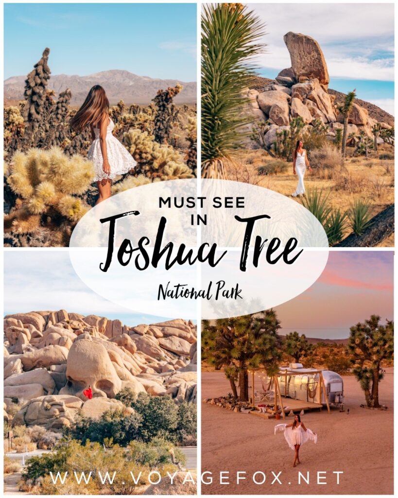 one day in joshua tree national park