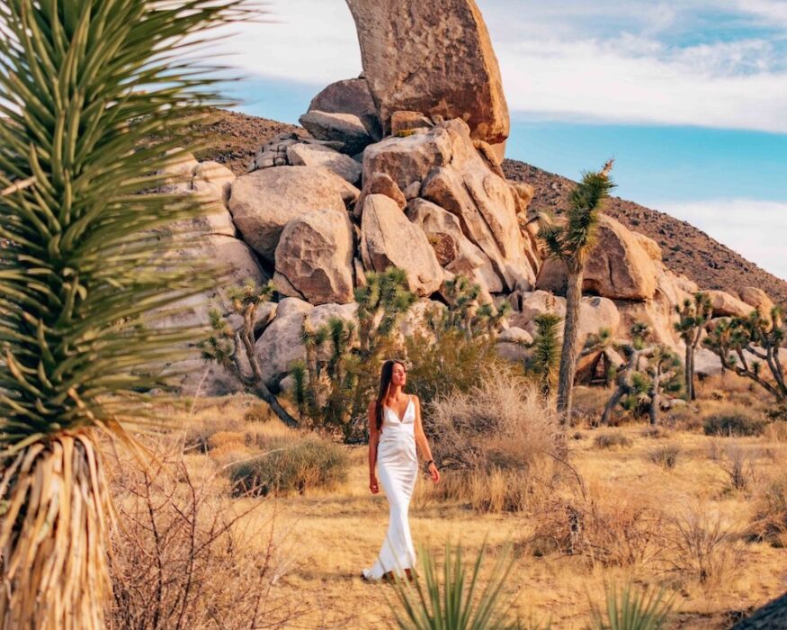 one day in joshua tree national park