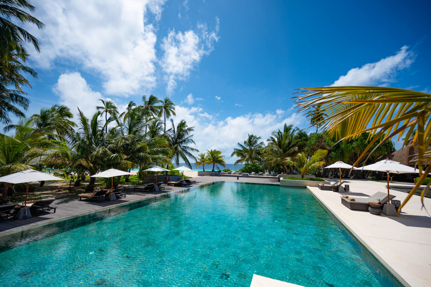 the main pool of the Park Hyatt Maldives Hadahaa
