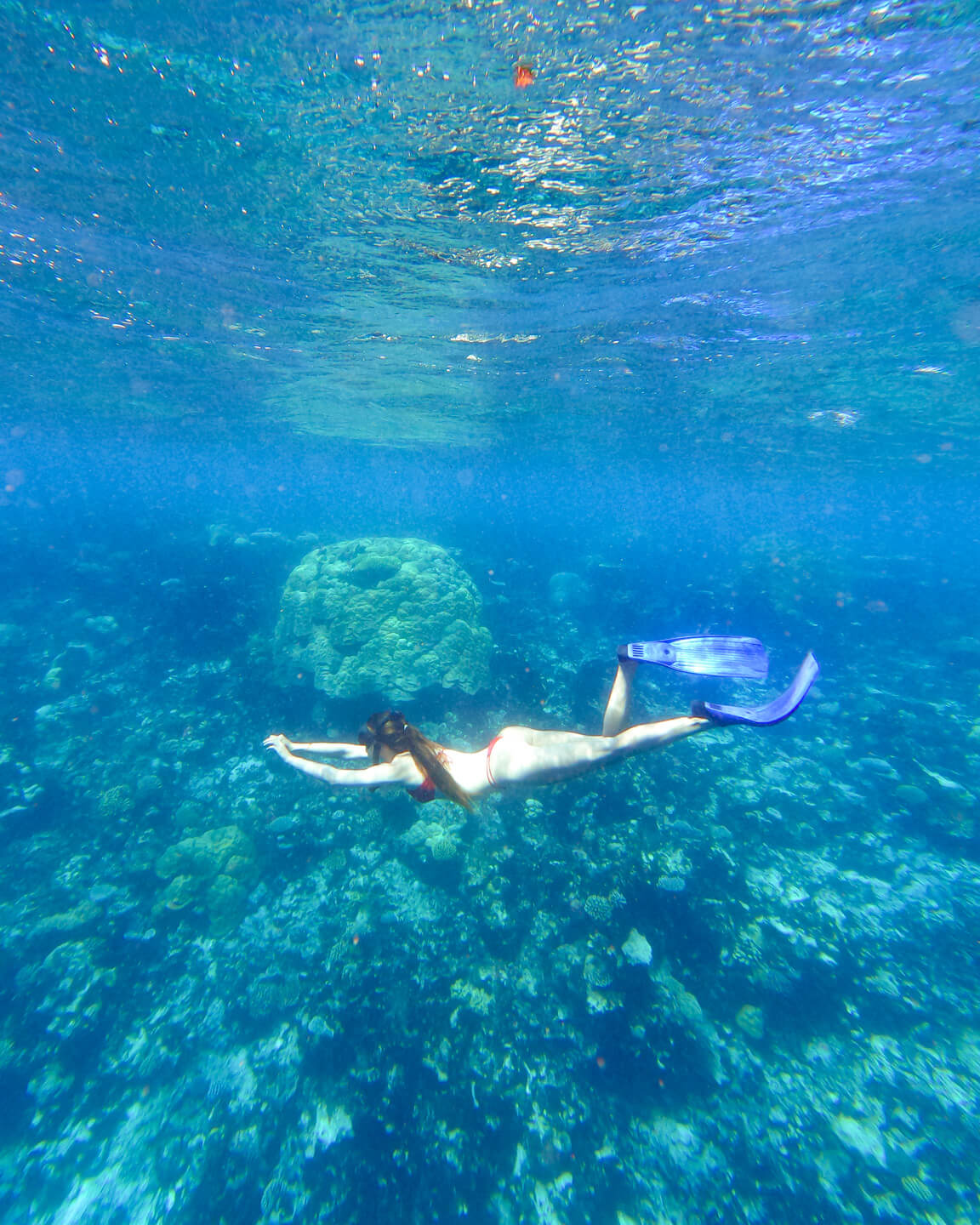 underwater shot of a girl diving in The Maldives