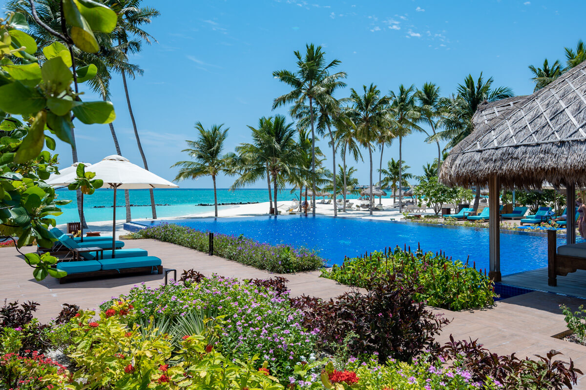 main pool at the emerald maldives surrounded by palm trees
