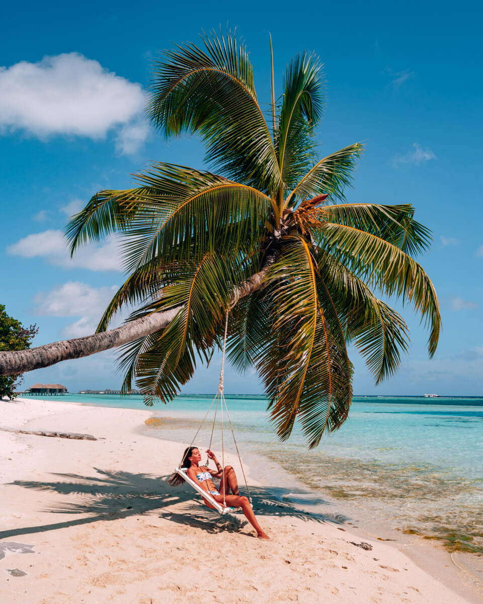 swing at a palm tree at the beach in The Maldives, eine Schaukel an einer Palme am Strand auf den Malediven