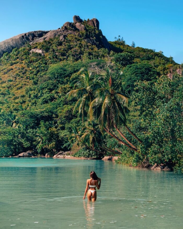 lush green jungle behind a blue bay in the Seychelles, dichter grüner Dschungel hinter einer bucht auf den seychellen