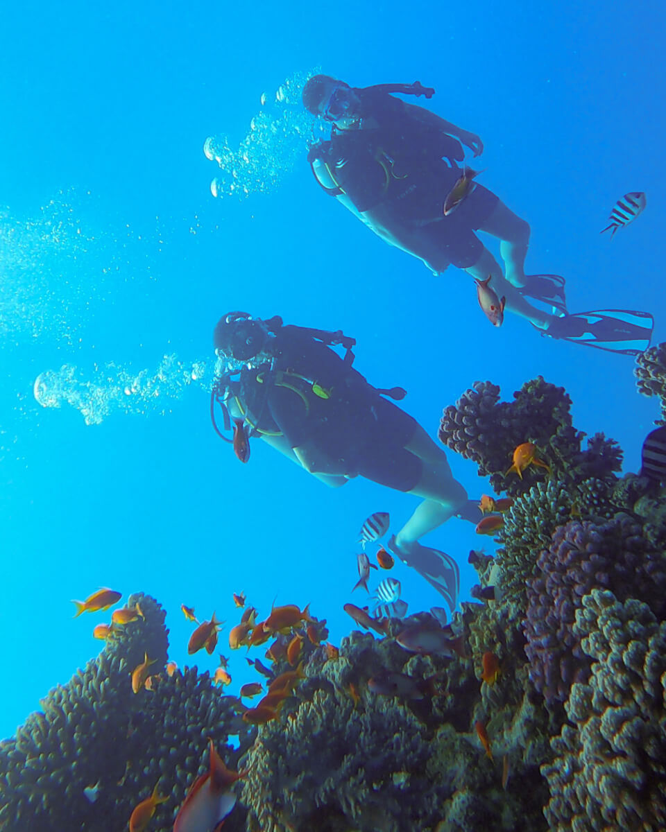 couple diving in the Red Sea behind a coral reef