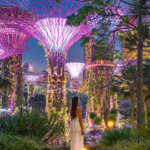 super trees singapore