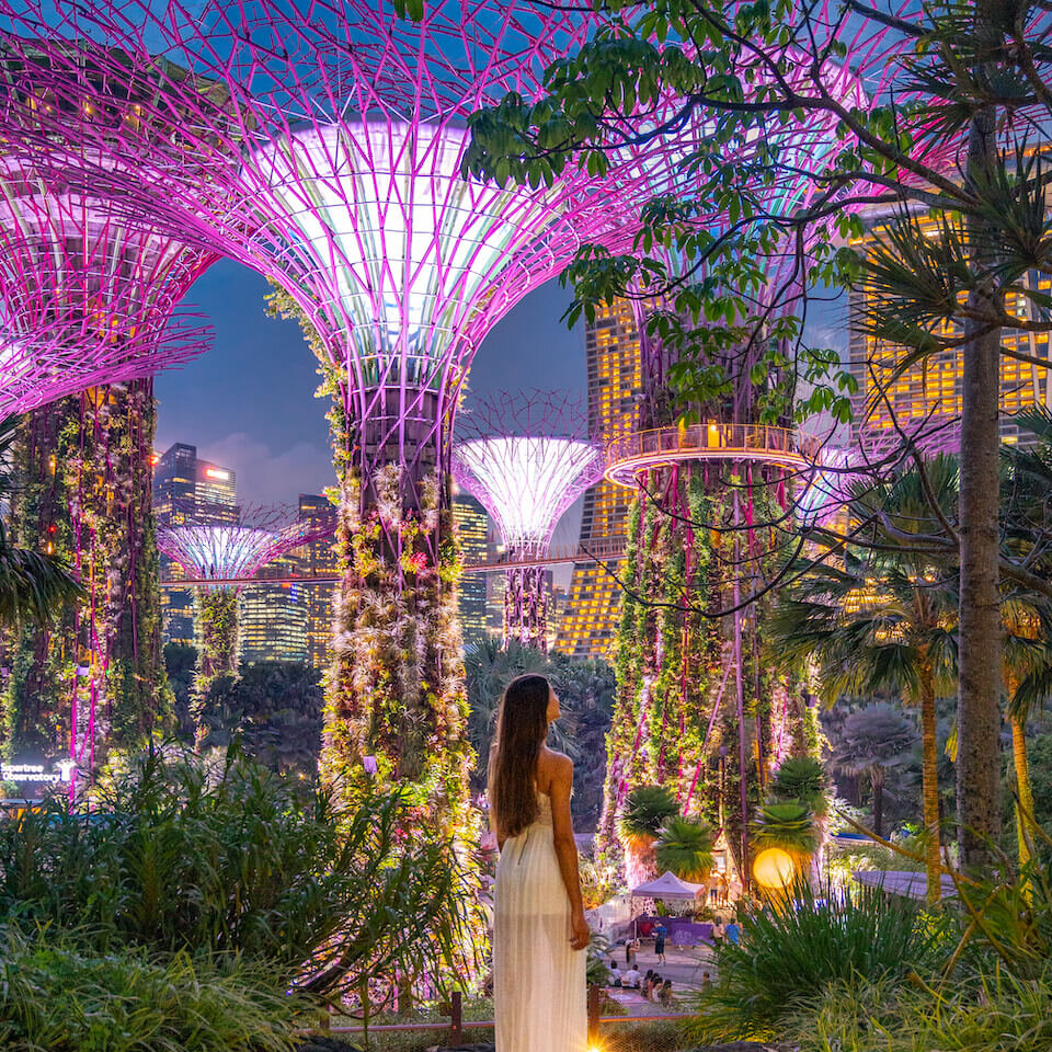 super tree grove light show at gardens by the bay, Singapore itinerary