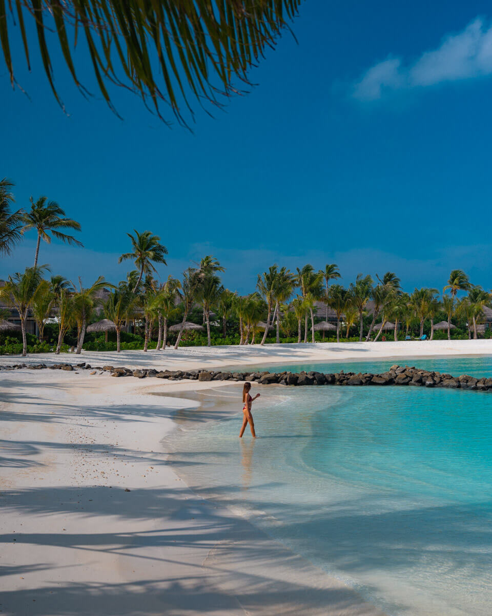 a beautiful beach at the Hilton Maldives Amingiri with blue water, white sand and palm trees