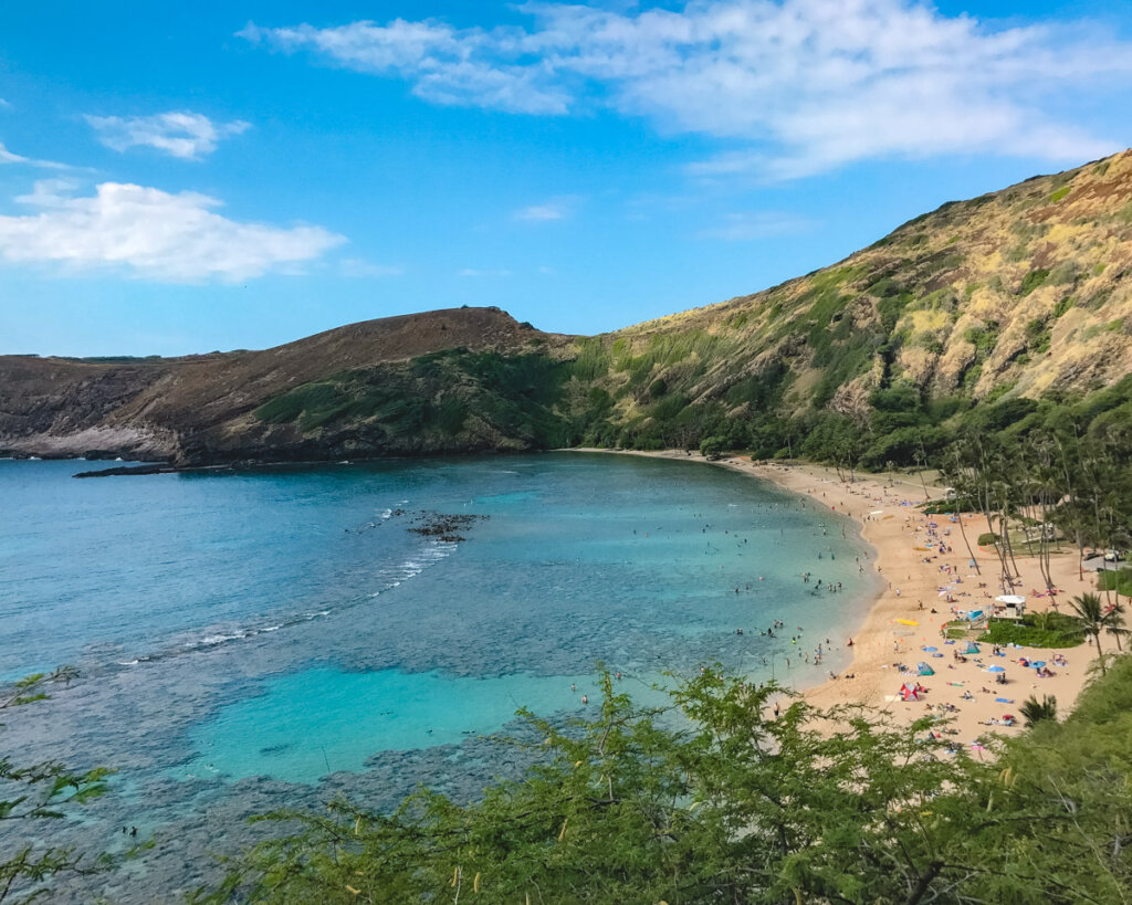 The Hanuama Bay on Oahu, Hawaii with palm trees and blue water