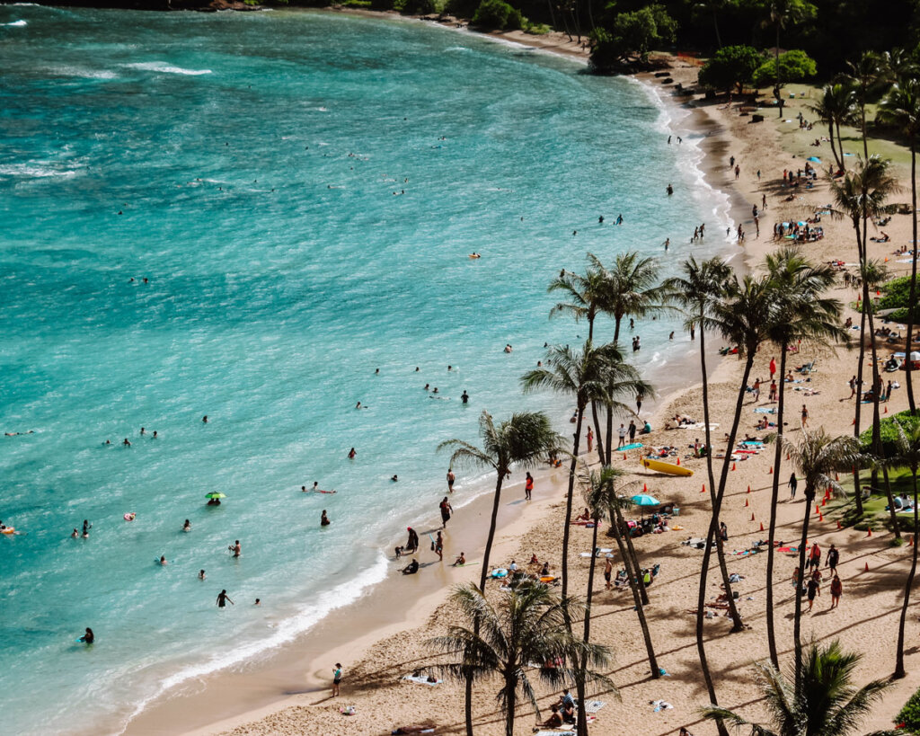 The Hanuama Bay on Oahu, Hawaii with palm trees and blue water