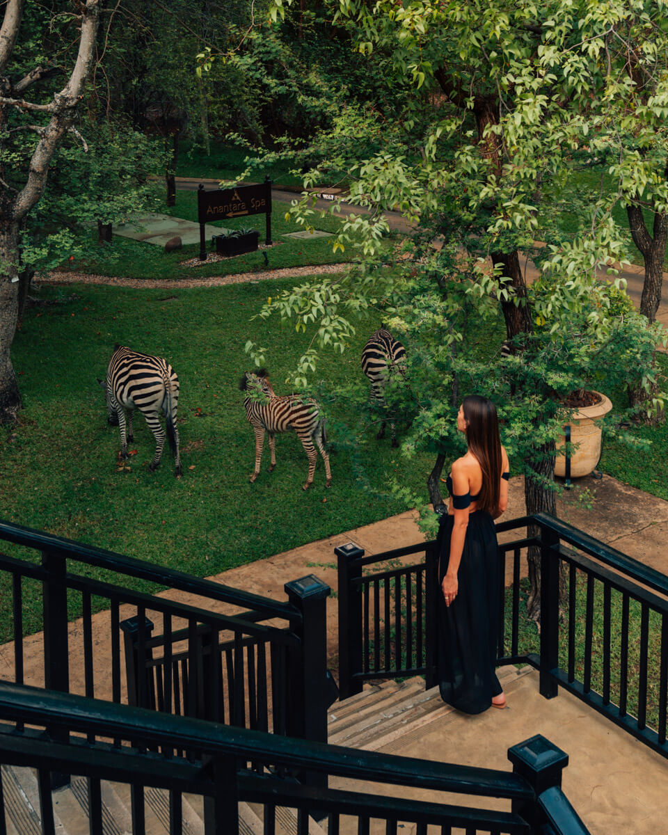 girl walking down a staircase towards a garden with zebras at the Royal Livingstone Hotel in Zambia