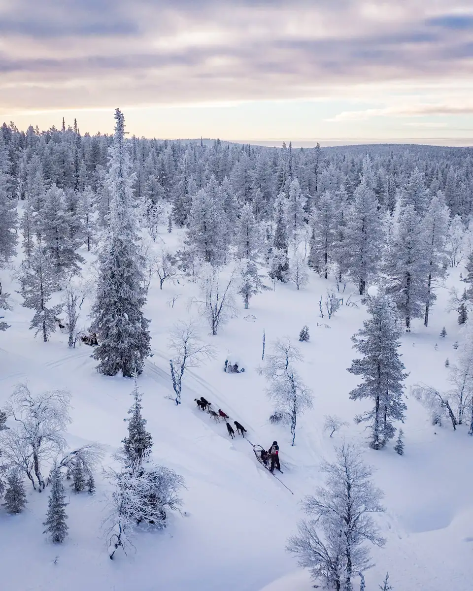 Explore The Magic Of Finnish Lapland Ultimate Travel Guide Explore The Magic Of Finnish Lapland Ultimate Travel Guide