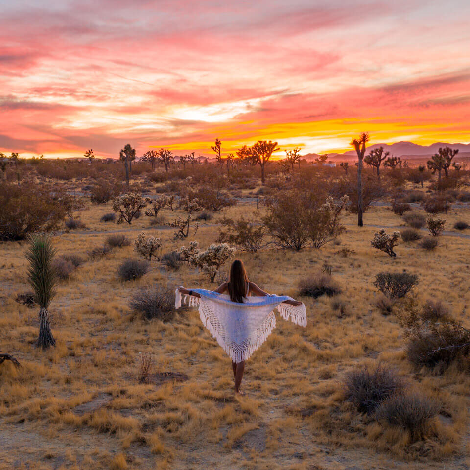 sunset-joshua-tree-national-park sunset-joshua-tree-national-park