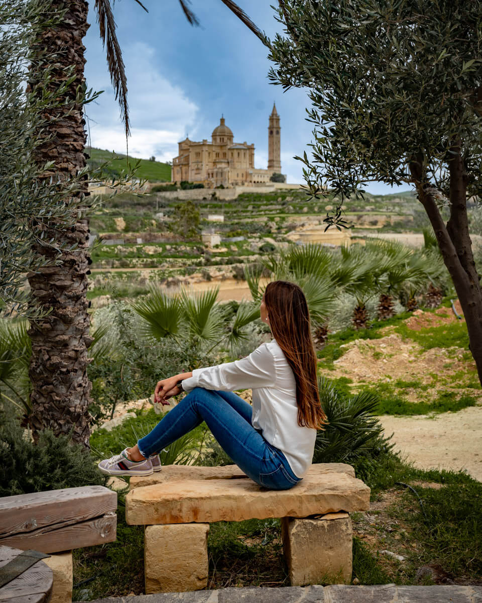 gozo-olive-grove