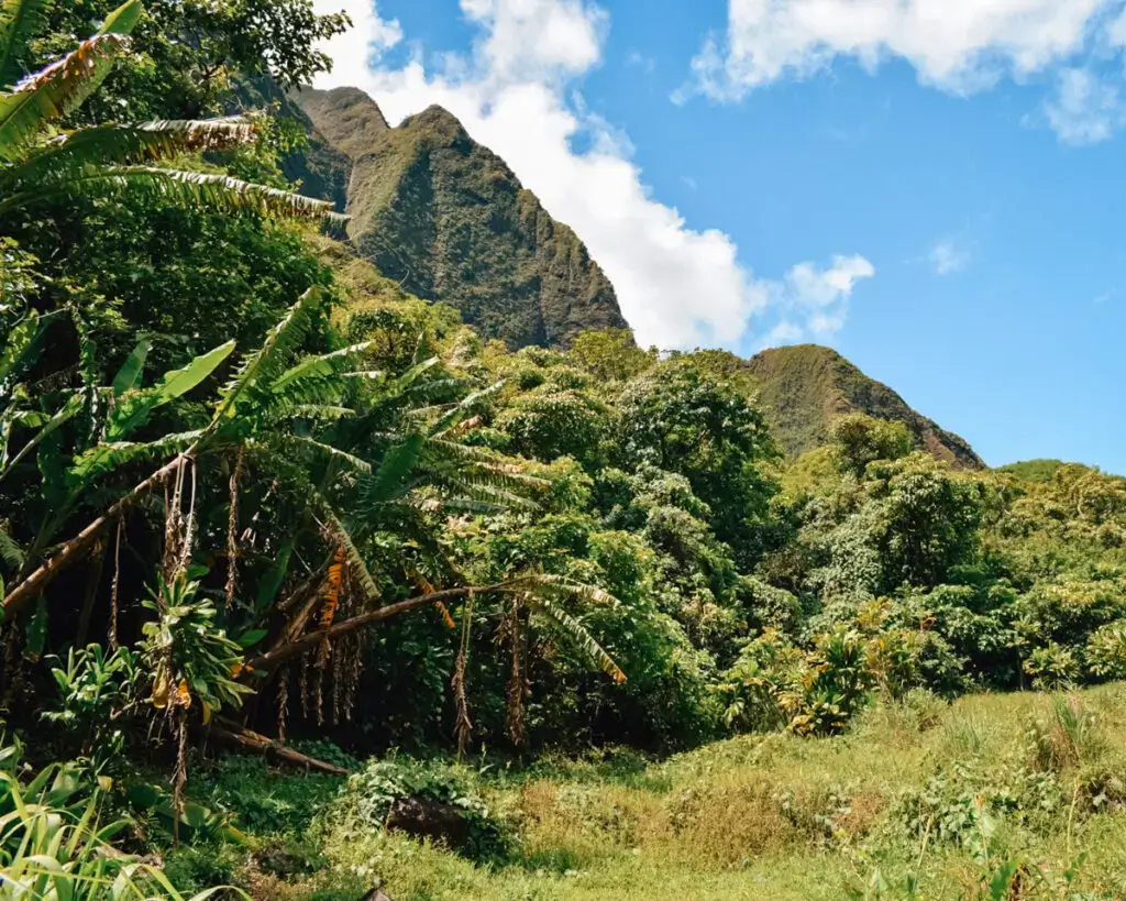 iao valley state park, best attractions maui hi