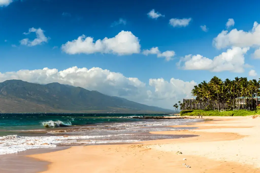 sunny sandy beach in maui, Hawaii