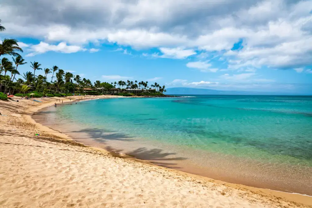 sandy beach with blue water and palm trees, best attractions maui hi