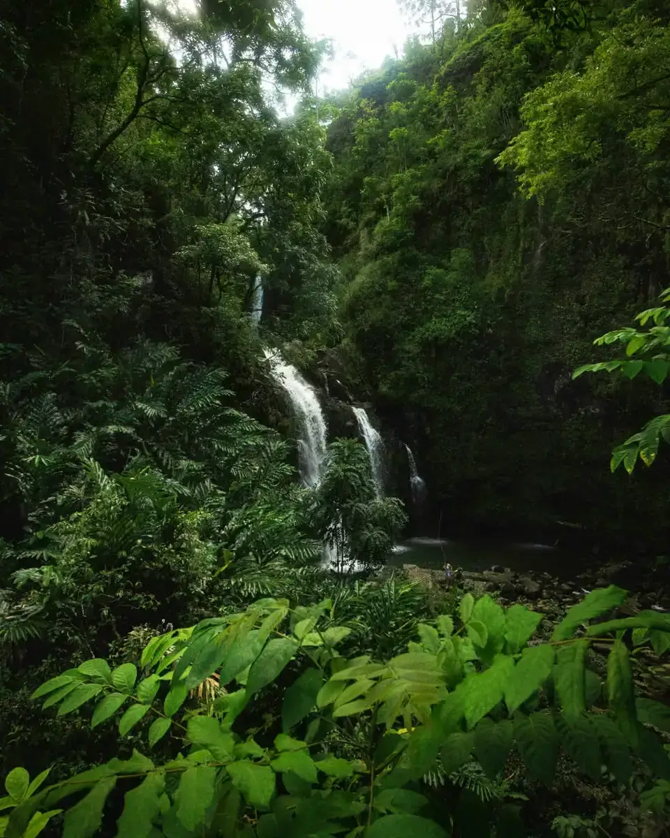 waterfalls jungle maui