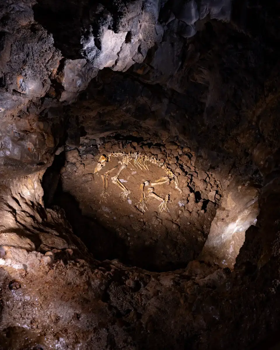 Baraceve Spilje Cave in Plitvice Valley, a hidden gem and insider tip in Croatia, skeleton of a prehistoric cave bear