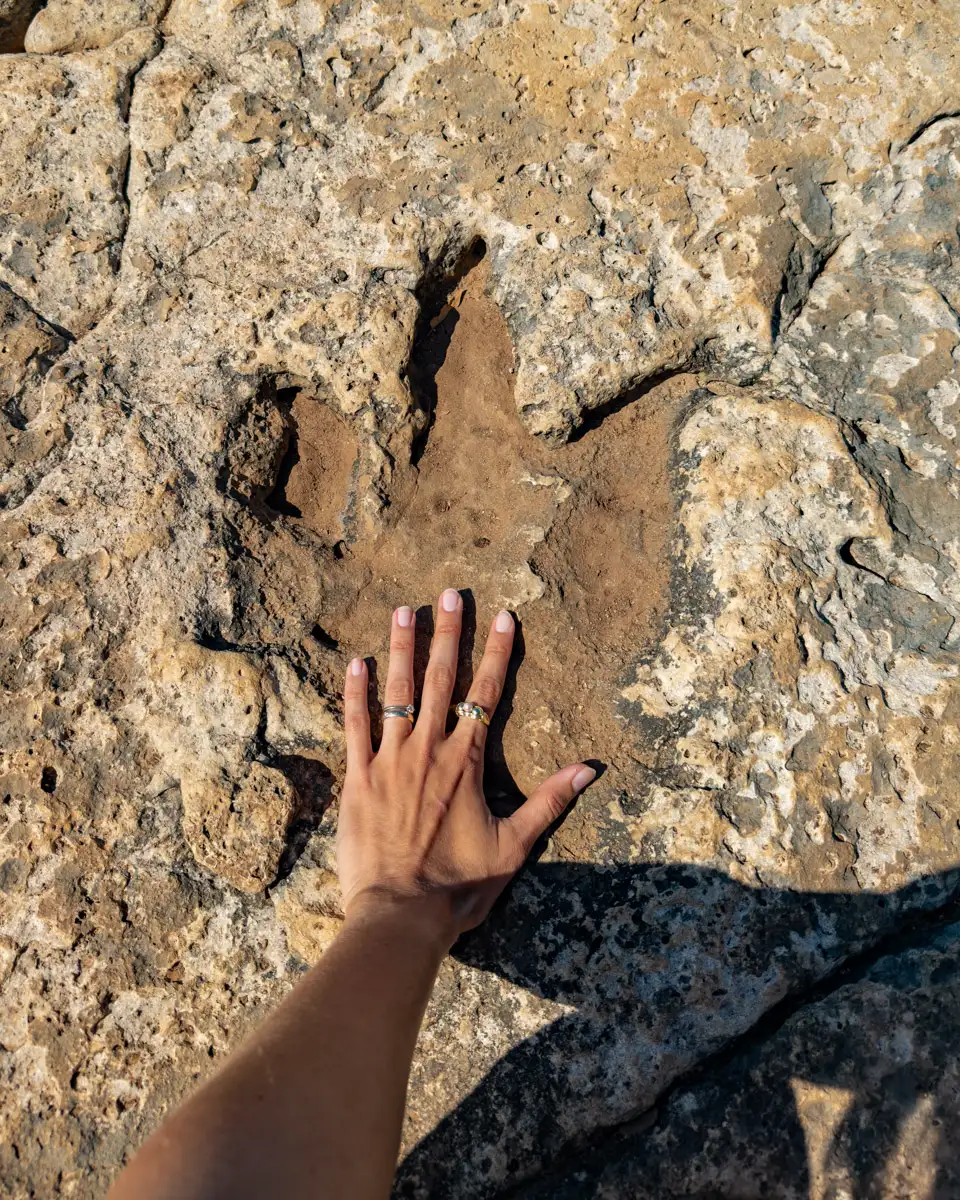 rare sight in Croatia: prehistoric dinosaur footprint
