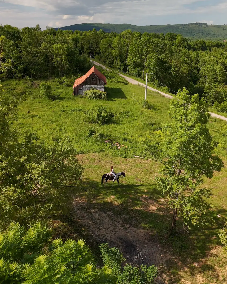 horse ranch in the wilderness of Croatia