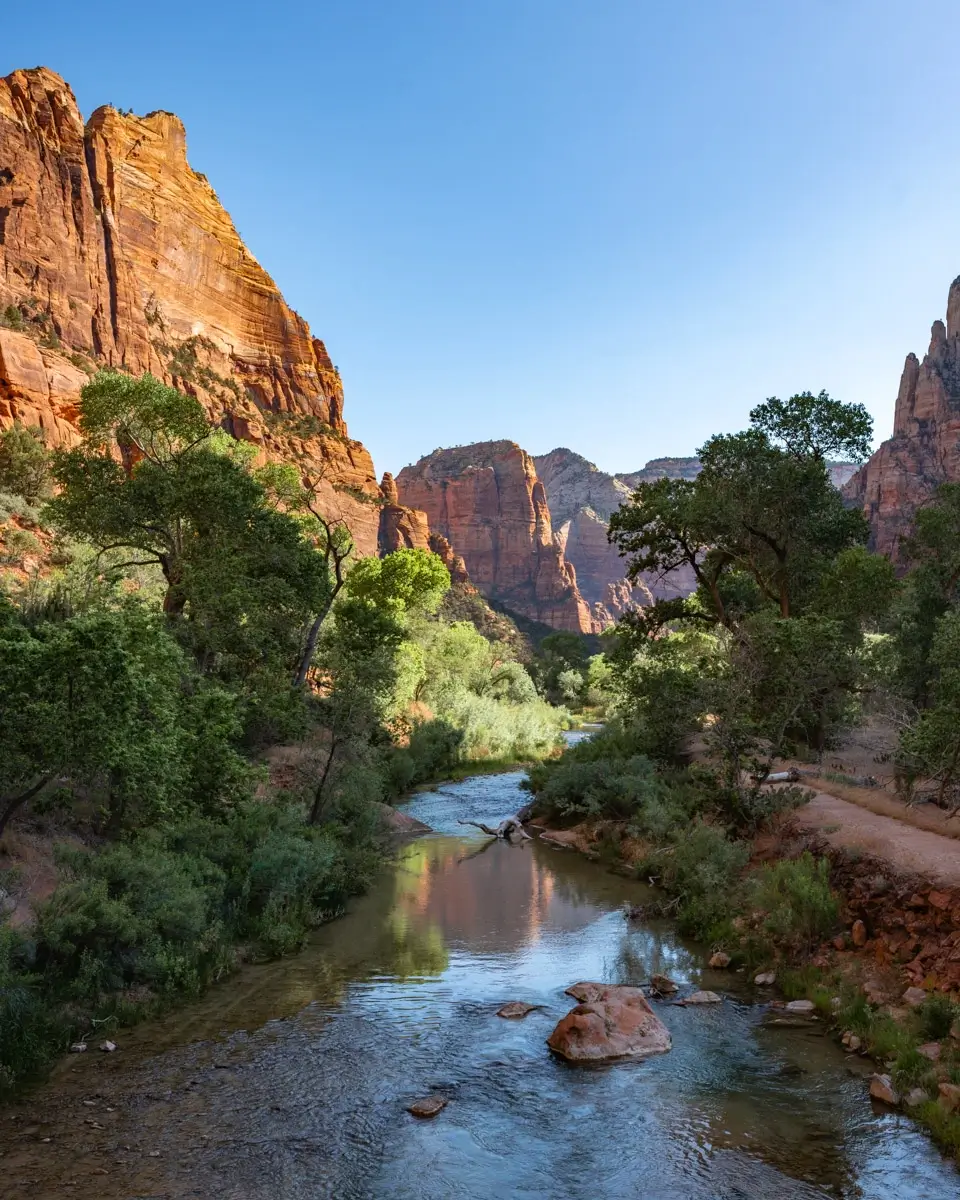 virgin-riverside-walk-hike-zion virgin river in Zion National Park