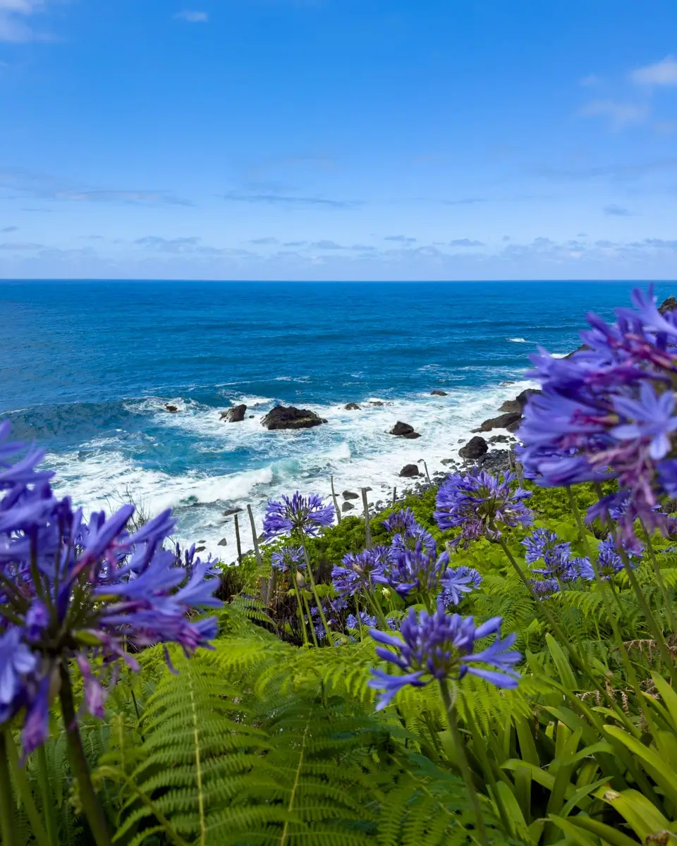 madeira-flower-island