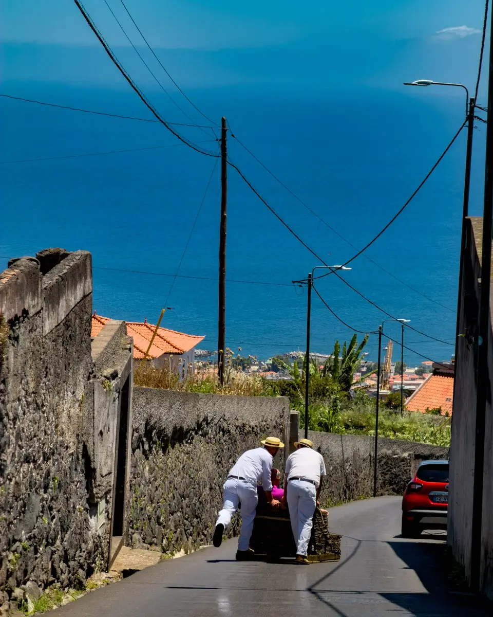 madeira-monte-toboggan-sledge