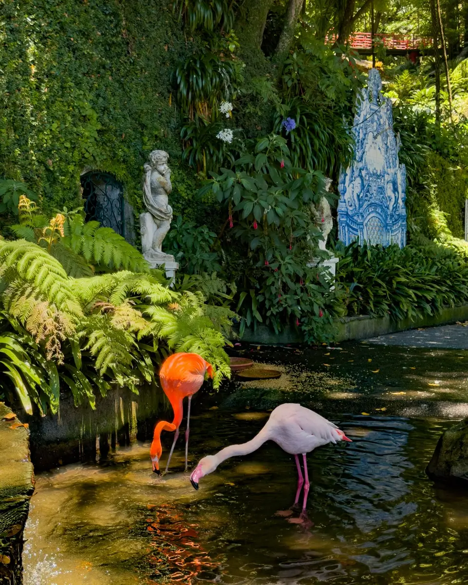 monte-palace-garden-madeira
