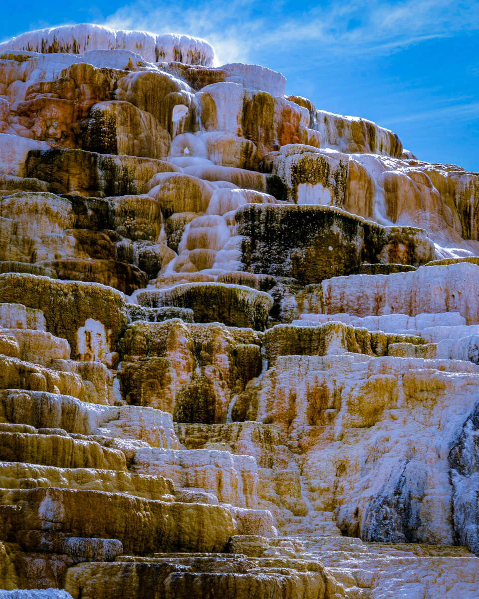 mammoth-hot-springs-yellowstone Mammoth Hot Springs, one of the highlights during one day in the Yellowstone national park