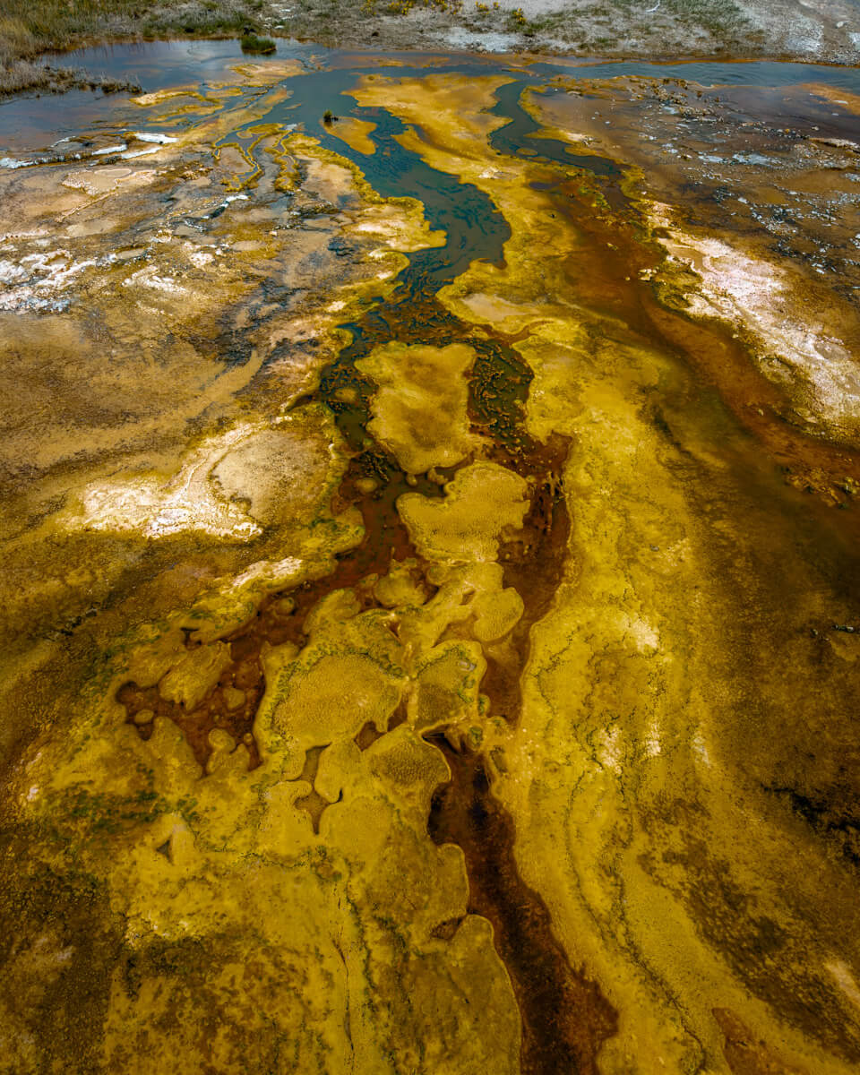 upper-geyser-basin-yellowstone yellow and green sediments in sulfur lake, geyser, in Yellowstone national park