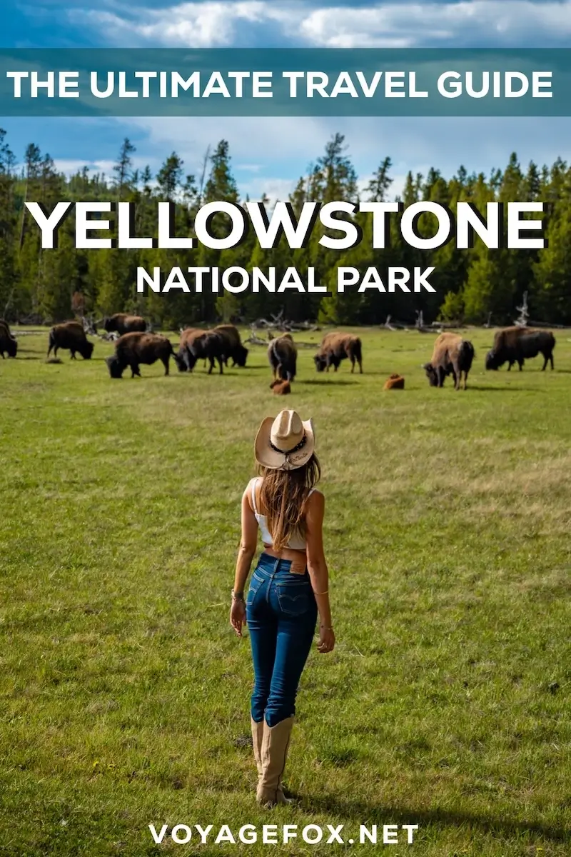 yellowstone-national-park-highlights One day at the Yellowstone national park, all highlights, the best activities and map